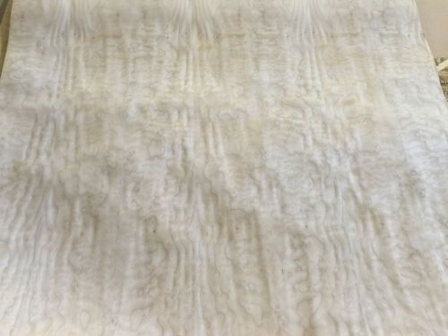 Wood Veneer Quilted Maple 48x48 1 Piece 10Mil Paper Backed &#034;EXOTIC&#034; 0917 # 4