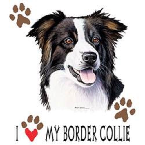 Love My Border Collie Dog HEAT PRESS TRANSFER for T Shirt Sweatshirt Fabric 814b
