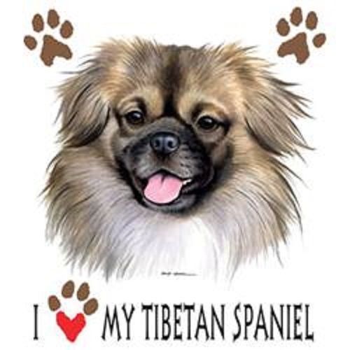 I Love My Tibetan Spaniel Dog HEAT PRESS TRANSFER for T Shirt Sweatshirt 907f
