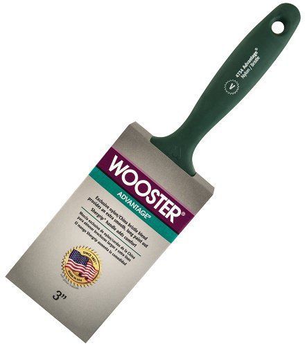 Wooster Brush 4734-3 Advantage Paintbrush, 3-Inch
