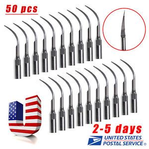 50* Dental Perio Tips PD1 For Satelec DTE NSK Ultrasonic Scaler Handpiece YS-Top