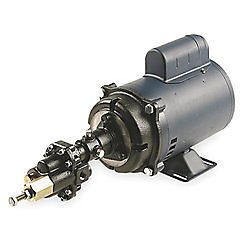 Dayton pump, rotary gear pump with motor, 3 phase for sale