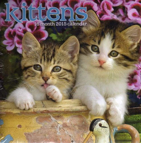 16 Month 2015 Calendar Kittens 12 x 12 Organizer New Cats Kitten Cat Wall