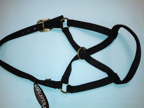 Bovine Halter