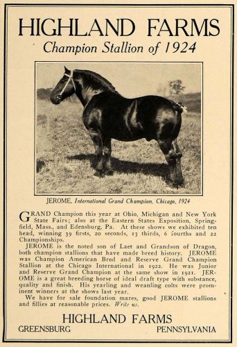 1925 Ad Highland Farms Greensburg Champion Stallion - ORIGINAL ADVERTISING CL7