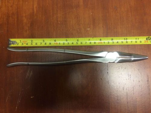 12&#034; Wolf Tooth Forcep, Hand Crafted, Stainless Steel, Dental,Equine
