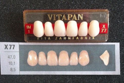 Vitapan Denture Teeth    X77    1M1