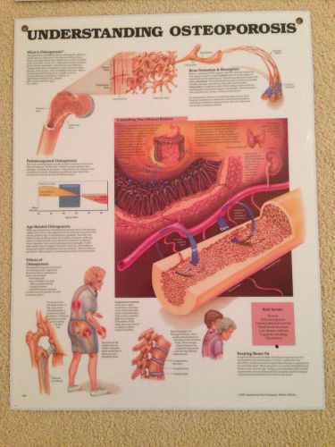 chiropractic poster