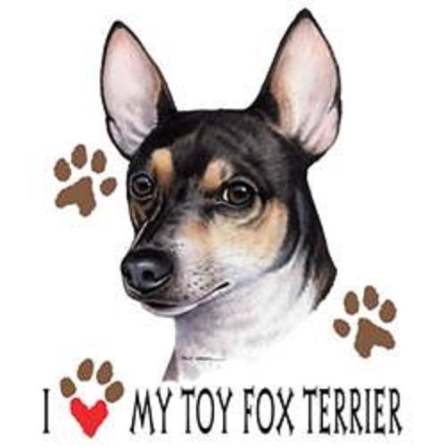 I Love My Toy Fox Terrier Dog HEAT PRESS TRANSFER for T Shirt Sweatshirt 916a