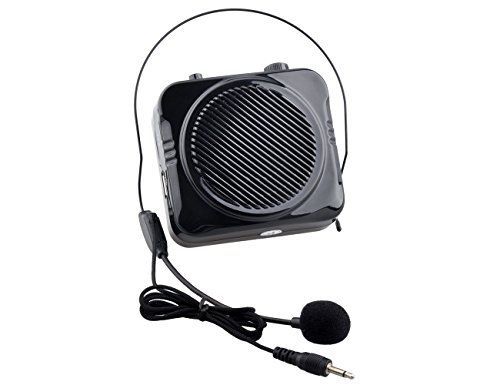 [Upgraded] DuaFire Voice Amplifier Portable Microphone with FM Radio Recorder