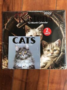 New!!! 2022 Kittens 12 Month Calendar 1112 w/Cats Bonus Mini 2-pack