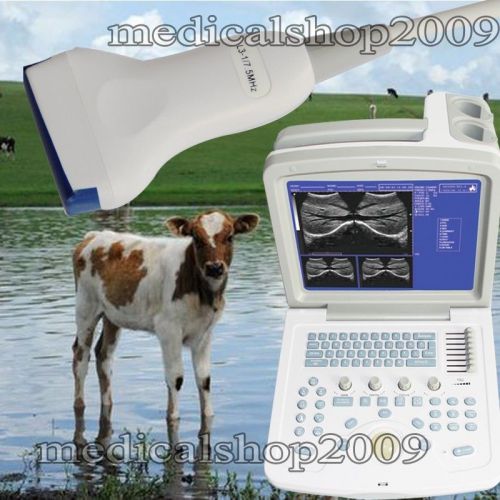 Ce contec veterinary vet portable b-ultrasound scanner+linear probe,2y warranty for sale