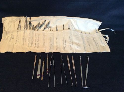 Surgical Instrument Lot ENT Plastic Surgery Elevators Skin Hook Knives VET