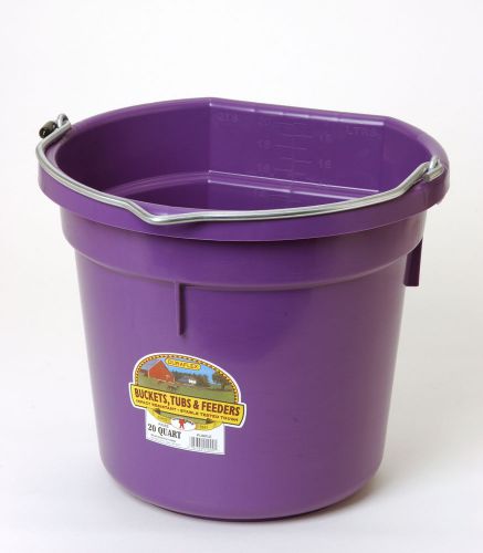 Purple 5 gallon 20 qt professional farm grade flat back bucket pail horse cattle for sale