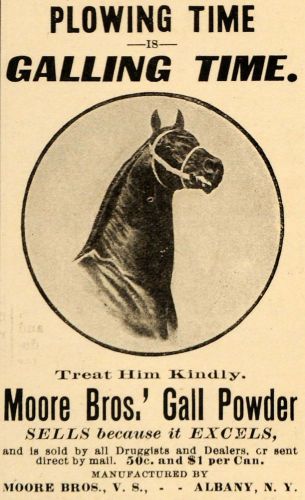 1907 Ad Moore Bros. Gall Powder Galling Horse Plowing - ORIGINAL ADVERTISING CG1