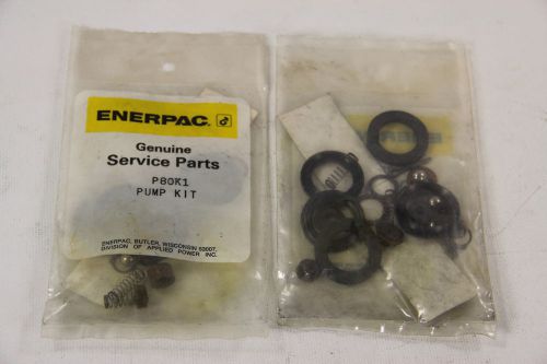 Genuine Enerpac P80K1 Parts Service Repair Kit