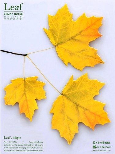 b.b.begonia Leaf_ Maple Sticky Notes, Yellow, Large (C209YL003)