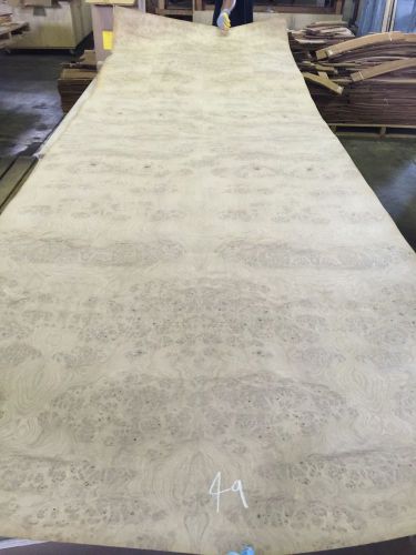 Wood Veneer White Oak Burl 48x144 1 Piece 20Mil Paper Backed  HALF OFF!!! #49