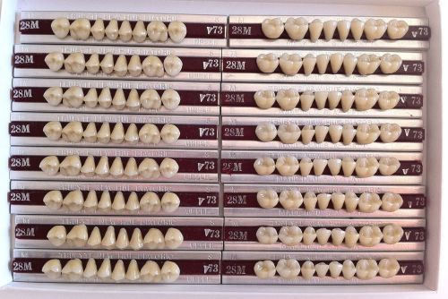 Dentsply New Hue Dentist Dental Lab Porcelain Denture Teeth - 28M  UL   73