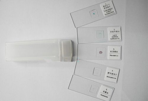 5PCS professional Prepared Basic Science Microscope Slides in Box for Student