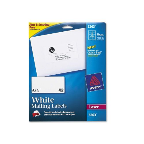 Avery Shipping Labels with True Block Technology 2x4 White 250 per Pack