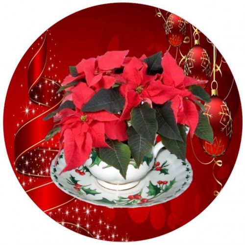 30 Personalized Return Address Labels Teacup Christmas Buy3 get1 free(fx34)