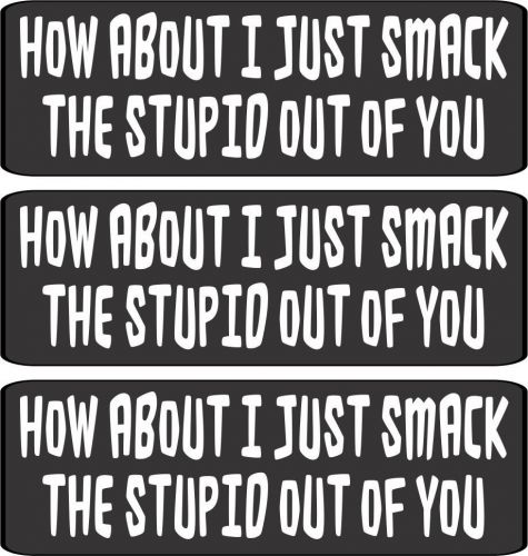 3 - How About I Just Smack the Stupid Out of You Helmet/Hard Hat Sticker HS417