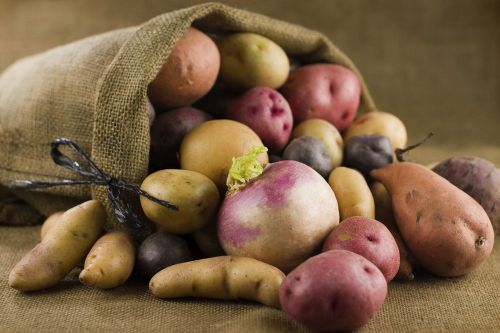 Large New Burlap Bag Sack 22&#034;x 36&#034; for Produce, Potato, crafts, natural, 50 PCS