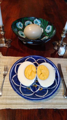 Fresh Ostrich Eggs to Eat