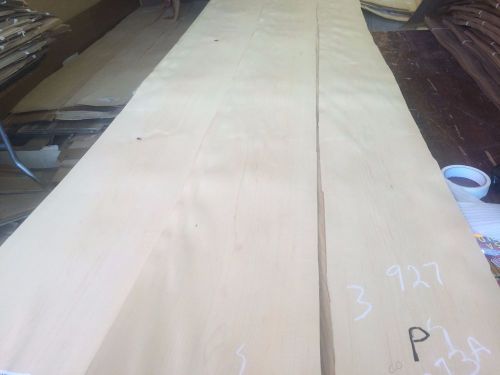Wood Maple  Veneer  114x8,10,12  total 3 pcs RAW VENEER  1/46 N927..