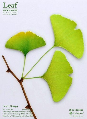b.b.begonia Leaf_Ginkgo -Sticky Notes, Green, Large (C209GL002)