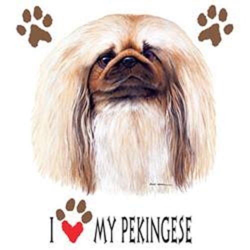 I Love My Pekingese Dog HEAT PRESS TRANSFER for T Shirt Sweatshirt Fabric 895b