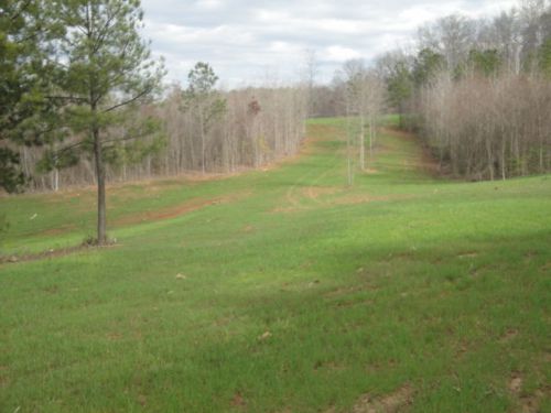 100+ Acres Hunting Land Tract Talbot County GA