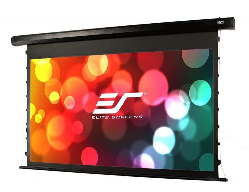Elite Screens CineTension2 100&#034; 16:9 motorized tensioned projector screen
