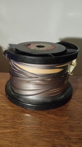 Nichrome Ribbon  12 Ft.  1/8&#034; x .005&#034;