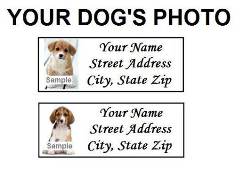 Your dog&#039;s photo / picture personalized custom stickers &amp; return address labels