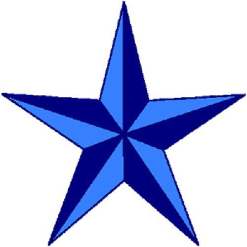 30 Custom Blue Star Personalized Address Labels