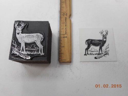 Printing Letterpress Printers Block, Deer with Antlers by Log