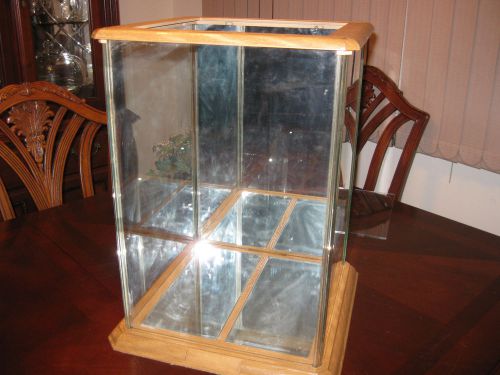 COLLECTIBLES/DOLL DISPLAY CASE 19&#034;H x 12&#034;D x 12&#034; W with mirrors