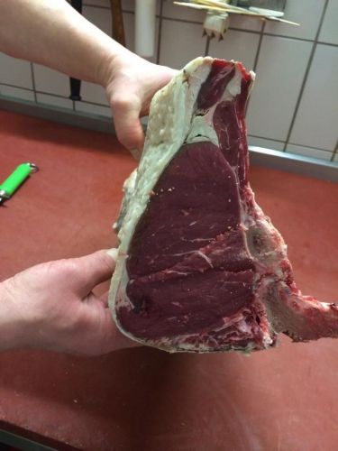 Mature your steak-meat safe to perfect Dry-aging products and with little loss