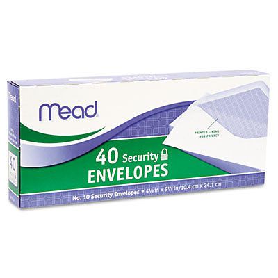 Boxed Envelopes 3-5/8 Inch X 6-1/2 Inch 80/Pkg-Security #6 Inch 043100752127