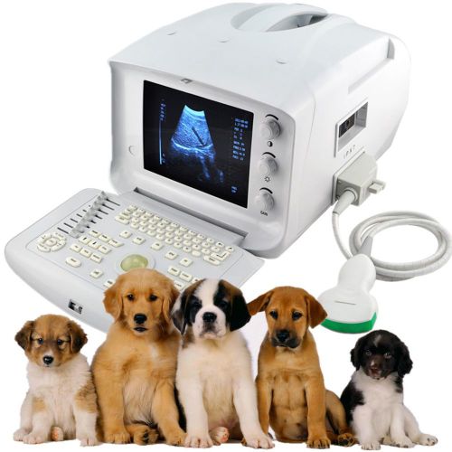 CE VET Veterinary Portable Ultrasound Scanner with convex Probe+ Free3D software