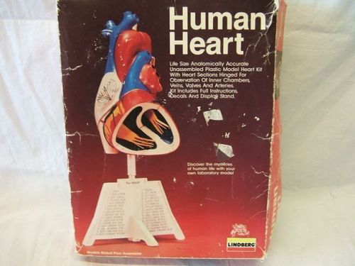 1987 Lindberg Human Heart Model Plastic Kit 1338