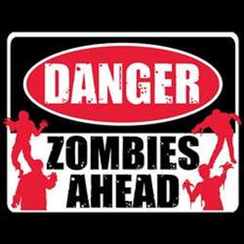 Danger Zombie Ahead HEAT PRESS TRANSFER for T Shirt Sweatshirt Tote Fabric 725e