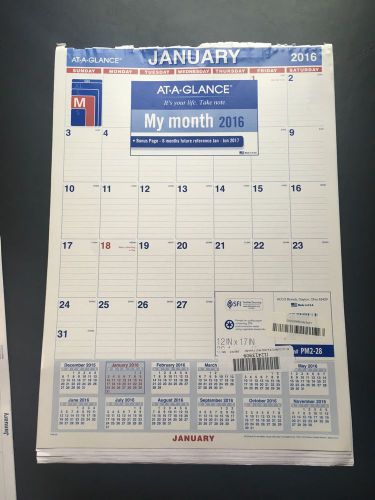 AT-A-GLANCE Monthly Wall Calendar 2016, 12 x 17 Inches (PM2-28)