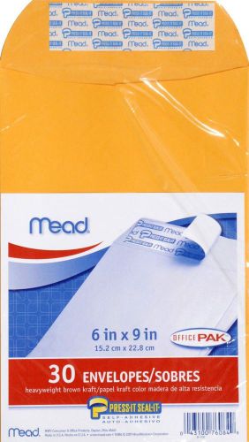Mead Press-It Seal-It 6 X 9 Envelopes, Office Pack 30 Count (76084)