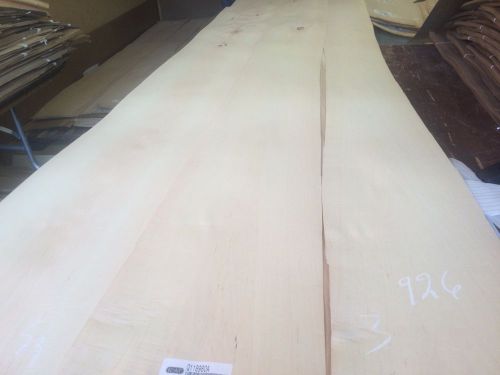 Wood Maple  Veneer  100x,9,10,14  total 3 pcs RAW VENEER  1/46 N926..