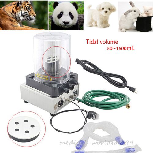 LED Veterinary Anesthesia Ventilator Breathe Machine Animals+2 Bellows Wind box