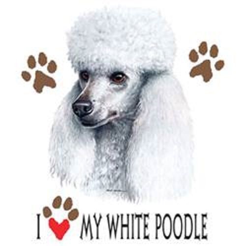 Love My White Poodle Dog HEAT PRESS TRANSFER for T Shirt Sweatshirt Fabric 895b