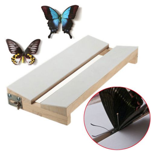 Adjustable V Shape Insects Butterfly Spreading Mounting Board Solid Wood Wings